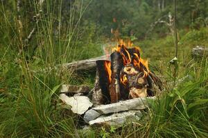 Campfire with several pieces of wood in a stone circle photo