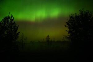 Northern lights over oncoming fog in the night photo