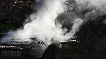 Defocus smoke from grilled fish in barbecue grill grid in charcoal brazier. Smoldering fish with smoke texture. Cooking bbq outdoor video