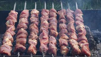 Marinated kebab meat on metal skewers on charcoal brazier. Smoke flying over skewers with raw meat roasting at barbecue grill on picnic. Local cuisine food background video