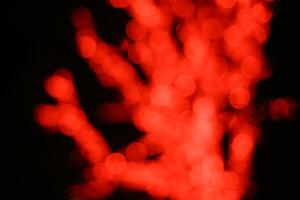 Blurred red lights forming the silhouette of a tree photo