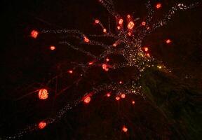 Tree decorated with white lights and heart-shaped lanterns photo
