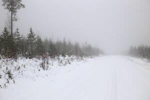 Snowy road in Lapland in northern Sweden photo