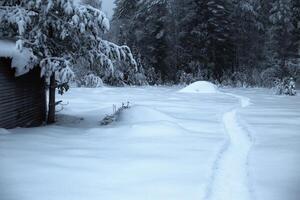Snow track, hut and heaps of snow photo