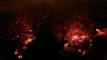 Smoldering fire with wet wood and green waste photo