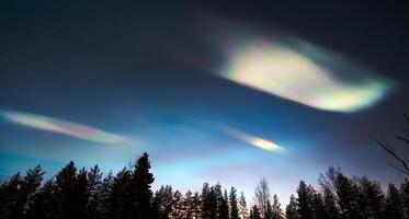 Nacreous clouds in dusk over tree silhouettes photo