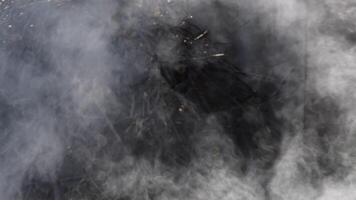 Thick smoke rising up from campfire outdoors at blurred background with stack of firewood and cut tree branches. Clouds of gray smoke texture video