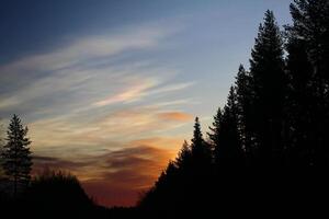 Nacreous clouds in the morning over forest silhouette photo
