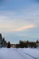 View over winter road in Swedish forest photo
