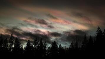 Nacreous and cumulus clouds in dusk over tree silhouettes photo