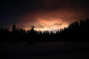Nacreous and cumulus clouds in dusk over tree silhouettes photo