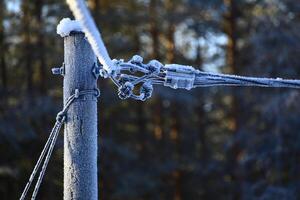 Frozen power line in Swedish winter season photo