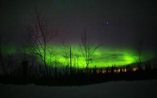 Intense northern lights and clouds over forest landscape photo