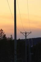 Power lines reflection evening sun in Swedish winter photo