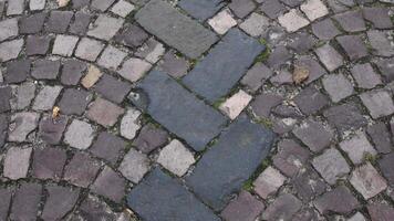 Ancient stone paving road in old town. Cobblestone pavement with rectangular and semicircular stone patterns. Roman road texture with dry fall leaves. Camera moves tilt video