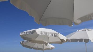 Fluttering frills of white textile umbrellas against blue sky background with copy space. Beach parasols on beach. Seaside relaxation concept video