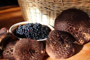 A mushroom forays yield, with Scaly hedgehog and blueberries photo