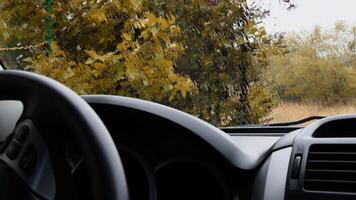 Heavy rain flow over windshield glass surface shot from inside car with defocused foreground of black auto dashboard and steering wheel. Autumn rainfall background for transport concept video