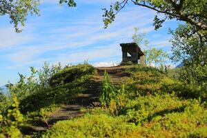 A bench in the shade on a small hill near Tornehamn, Lapland photo