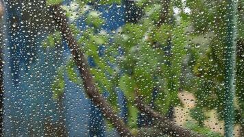 Clear water drops shot from behind transparent glass window with blurred background of tree foliage outdoor. Dot pattern of circle raindrops look like beads video