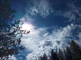 Diverse cloudscape with tree silhouettes in foreground photo