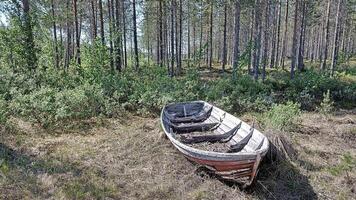 Old and rotten rowboat at the edge of Swedish forest photo