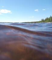 Swimming in the river Skelleftealven in Vasterbotten, Sweden photo