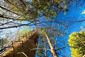 Upward view to concrete pillar at lake Menstrask, part of the old material ropeway Linbanan Kristineberg-Boliden photo