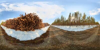 Spherical panorama of forestry area with stacks of wood and pine forest photo