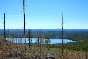 View from Bredtraskliden in northern Vasterbotten, Sweden photo