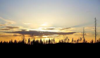 Evening sun an sunbeams behind clouds and a forest silhouette photo