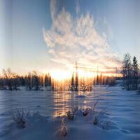 Timeslice of the suns path on the shortest winter day in Swedish Lapland photo