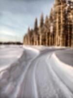 Blurred image of snowmobile tracks next to a forest photo