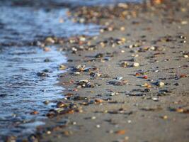 Rocks at the beach of the Baltic Sea photo