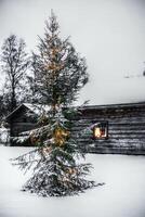 Fors Hembygdsgard with christmas tree. A Hembygdsgard is a typical Swedish free type of open-air museum photo