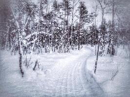 Grungy image of scooter track and birch forest in Lapland photo