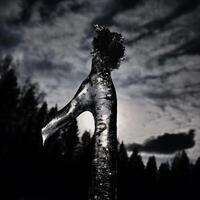 Dark shot of icicle and forest silhouette in backlight photo