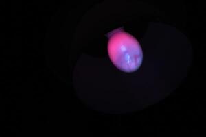 Close up of old mercury-vapor lamp recently started up photo