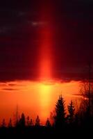 Sun pillar and orange sky with forest silhouette photo