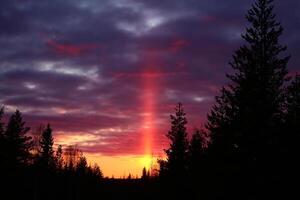 Sun pillar and evening sky with forest silhouette photo