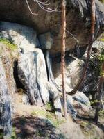Rock ledge in sunlight in a Swedish forest photo