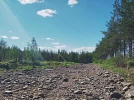 Dry river bed at Skellefte River in Sweden photo
