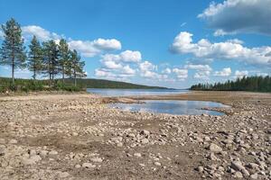 Dry part of river bed at Skellefte River in Sweden photo