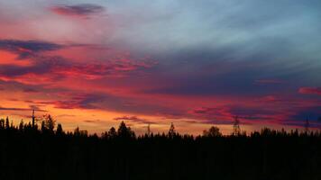 Colorful sunset clouds in front of forest silhouette photo