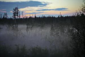 Misty dawn in Swedish Lapland with blur effect photo