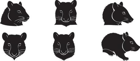 Cute Wombat Face Design for Australian Wildlife Projects vector