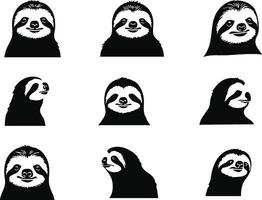 Realistic Sloth Head Illustration for Tropical Themes vector
