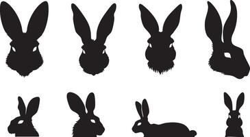 Forest Wildlife Illustration Highlighting Rabbit vector