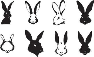 Bunny Portrait for Distinctive Artwork vector