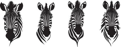 Wild Zebra Head for African Safari Inspired Projects vector